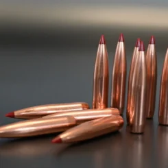 Bullets