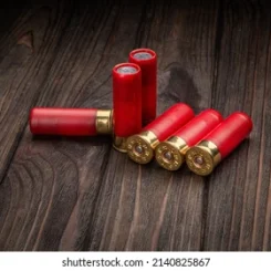 Shotgun Ammo