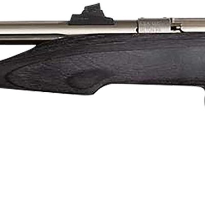 Chipmunk 40103 Hunter  Youth Frame 22 LR Single Shot 9" Threaded Stainless Steel Barrel, Black Laminate Frame