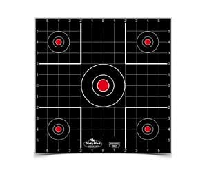B/C DIRTY BIRD SIGHT IN TGT 12-12"