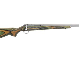 RUGER 77/22 22HORN 18.5" 6RD STS/GRN
