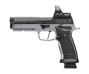 SIG P320 SXG 9MM 5" ROMEO3X PRO 10RD