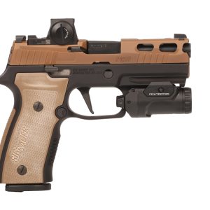 SIG SAUER P320 AXG 2TONE 3.9" FXTR 21+1#