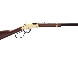 HENRY H4 GOLDEN BOY LL 22WMR 20.5"