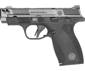 S&W BODYGRD 2 CC 380ACP 3.1" TS CA