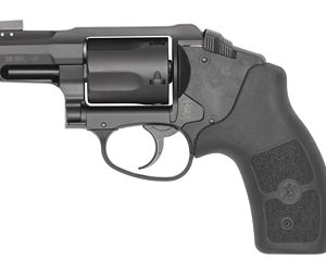 S&W BDYGD 38SPL 2.0 1.875" 5RD LSR