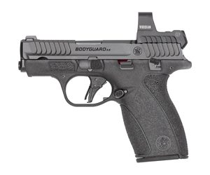 S&W BDYGRD 2.0 RFX1 380ACP 12RD TS