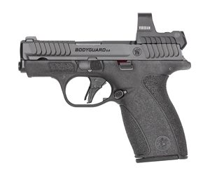 S&W BDYGRD 2.0 RFX1 380ACP 12RD NTS