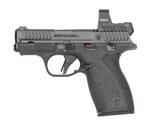 S&W BDYGRD 2.0 RFX1 380ACP 10RD TS